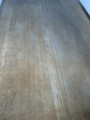 Großansicht des Photos