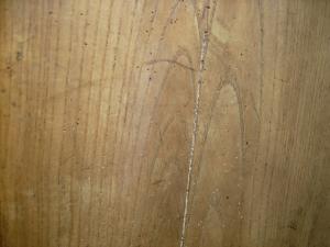 Großansicht des Photos