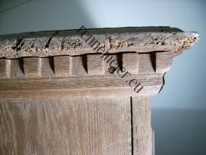 Großansicht des Photos